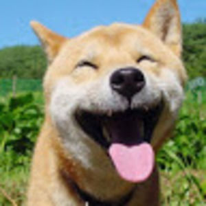 Meet your Posher, Todd